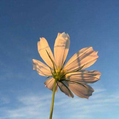 kok在线登陆官网